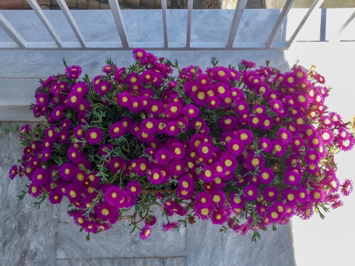 Peripatos Apartment Athens Ngoại thất bức ảnh
